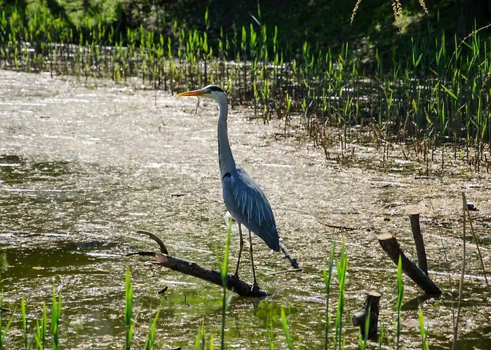 Διαμέρισμα Lakeside Residences 1 Min From Metro